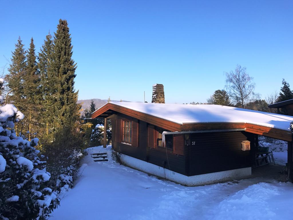 Villa Dachsbau Barbis Esterno foto